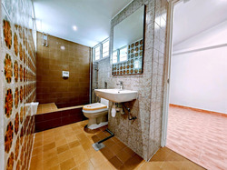 Dunearn Road (D11), Condominium #437447481